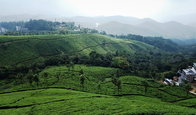 Ajurweda - prowincja Kerala