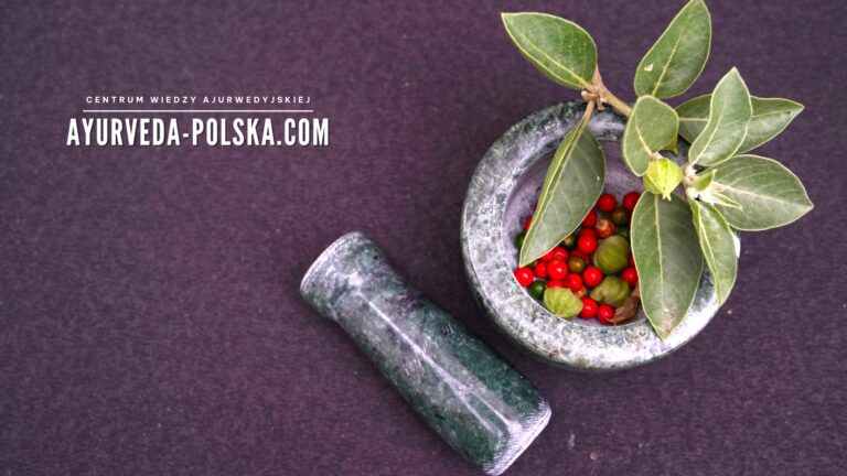 Ajurweda a polskie warunki klimatyczne – dostosowanie praktyk do naszej strefy geograficznej