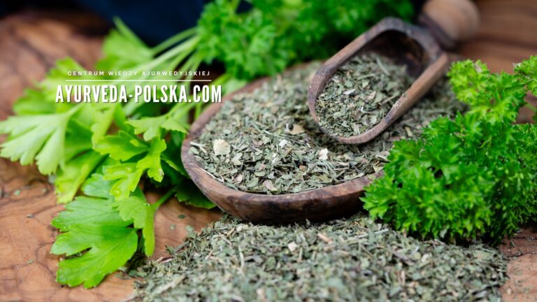 Ajurweda i polska tradycja