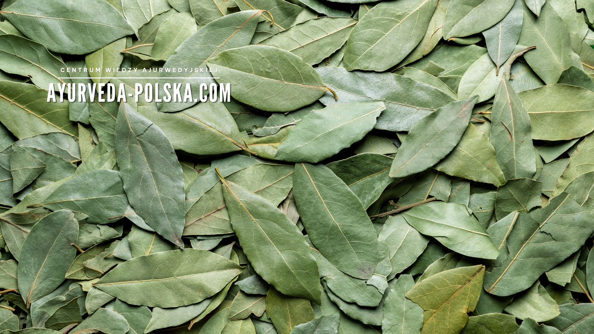 Ajurweda w Polsce