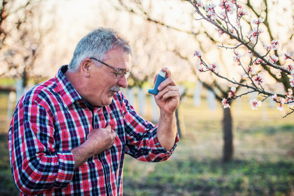 Zioła pomocne w leczeniu astmy